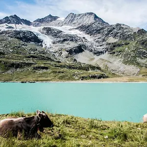 Meublè Stelvio 3* Tirano